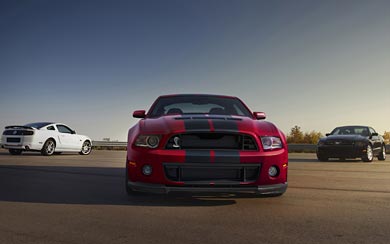2014 Ford Shelby Mustang GT500 wallpaper thumbnail.