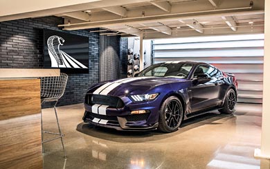 2019 Ford Shelby Mustang GT350 wallpaper thumbnail.