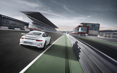 2014 Porsche 911 GT3 wallpaper thumbnail.