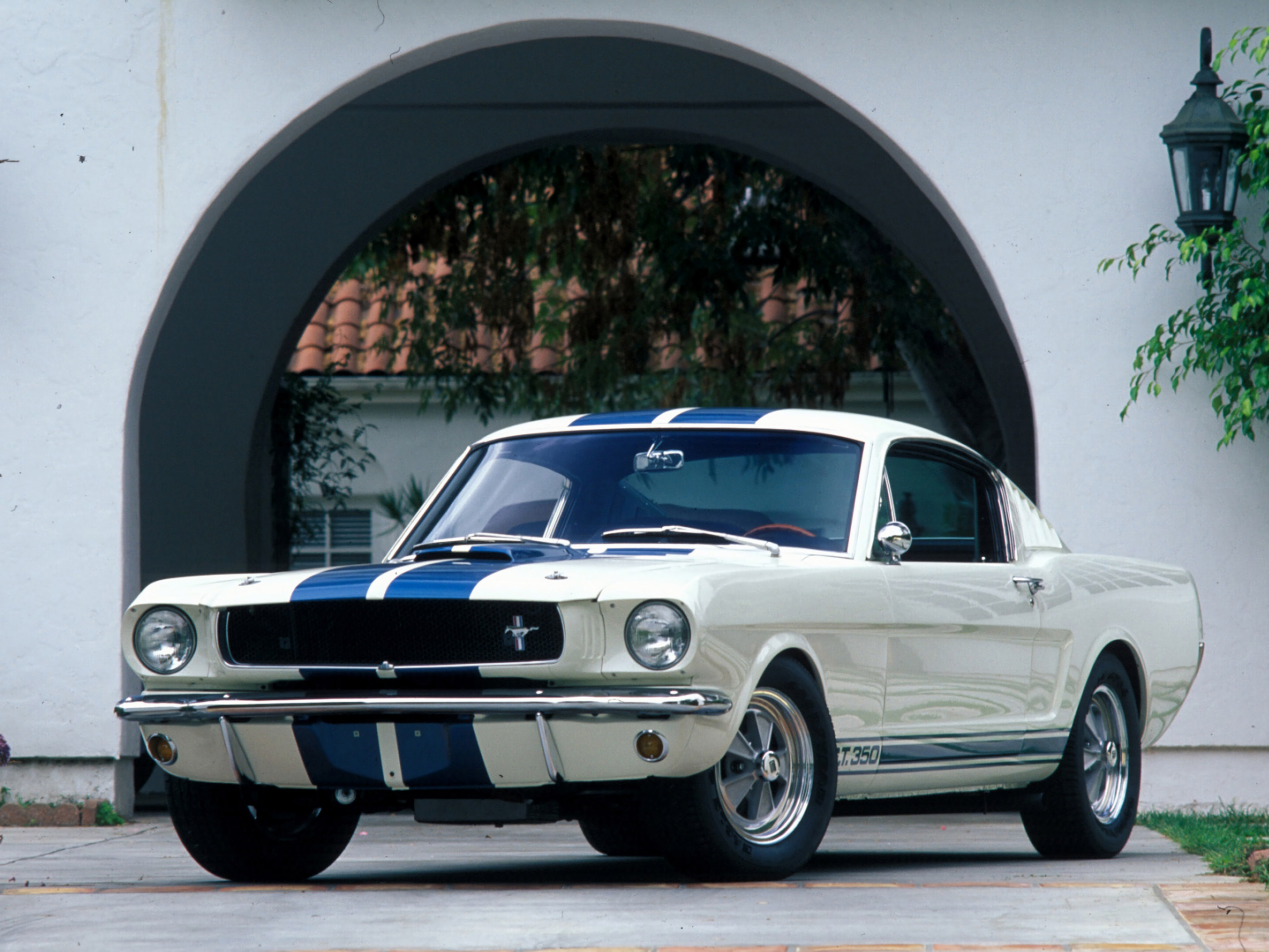  1965 Ford Shelby Mustang GT350 Wallpaper.