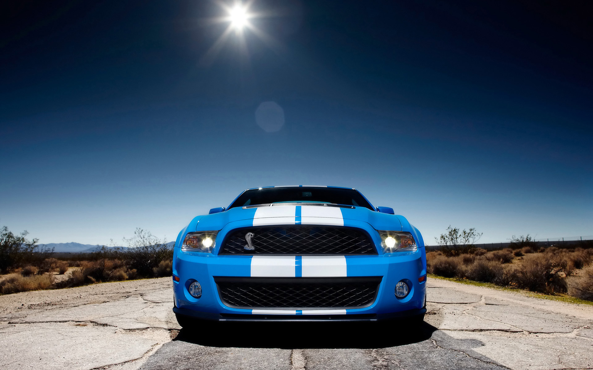  2010 Ford Shelby Mustang GT500 Wallpaper.