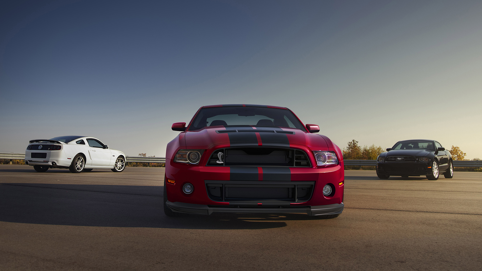  2014 Ford Shelby Mustang GT500 Wallpaper.