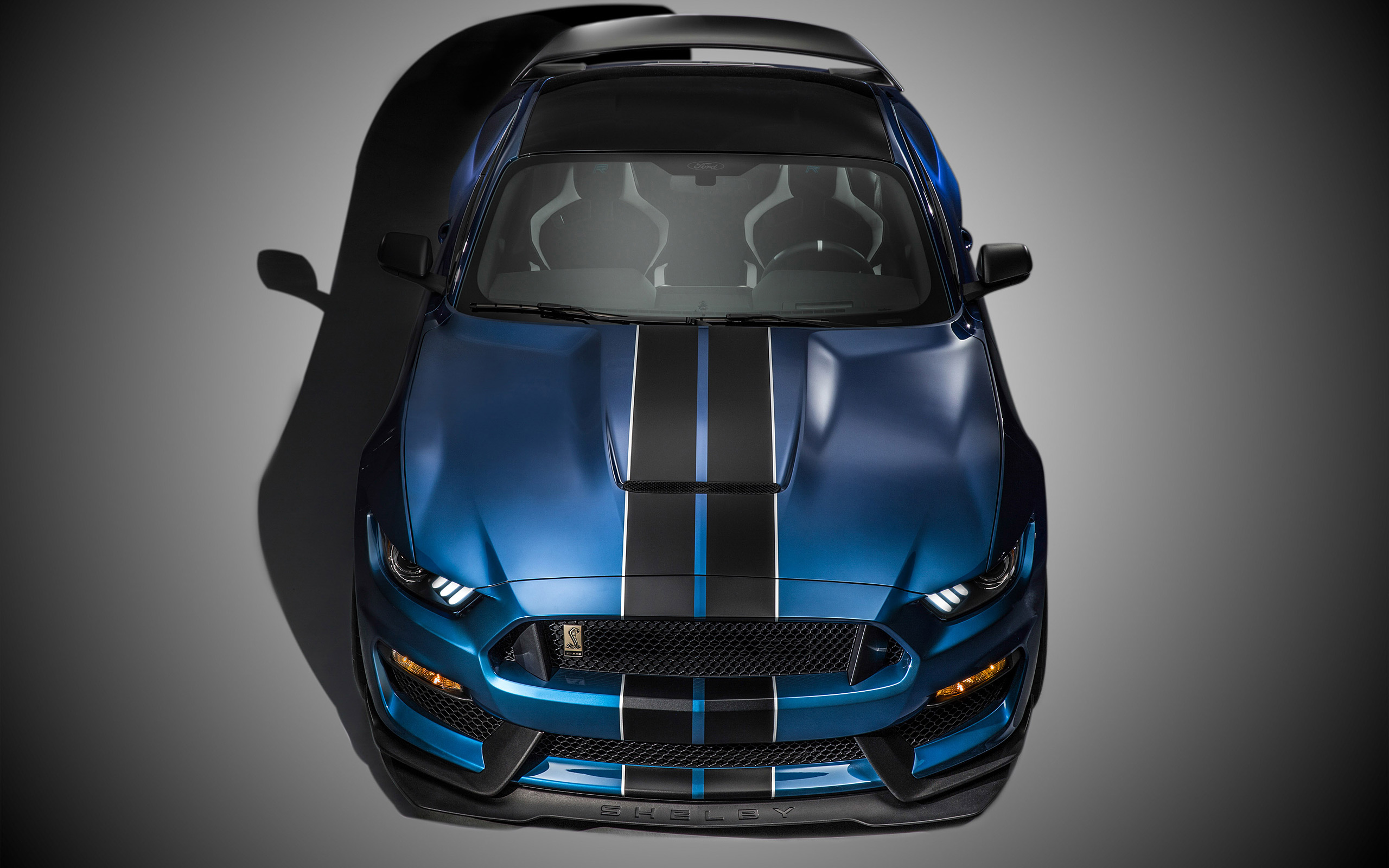  2016 Ford Shelby Mustang GT350R Wallpaper.